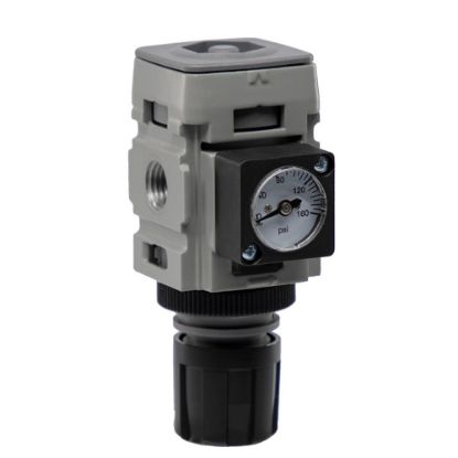 Picture of Global FRL Regulators (Standard/Common Port/Semi-Precision) - P31HB12BNTP