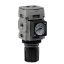 Picture of Global FRL Regulators (Standard/Common Port/Semi-Precision) - P31RB22BN6P