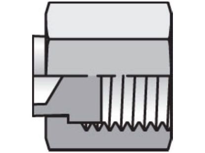 Picture of Seal-Lok ORFS Plug and Cap FNL - 10 FNL-S BP