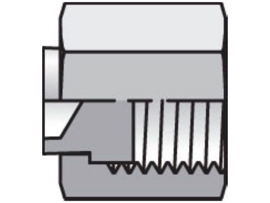 Picture of Seal-Lok ORFS Plug and Cap FNL - 10 FNL-S BP