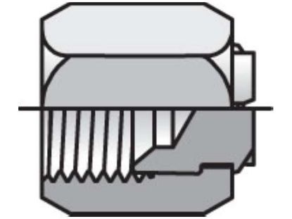 Picture of Triple-Lok 37° Plug and Cap FNTX - 10 FNTX-S BP