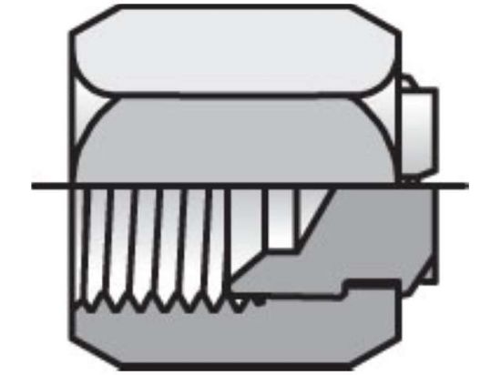 Picture of Triple-Lok 37° Plug and Cap FNTX - 4 FNTX-S BP