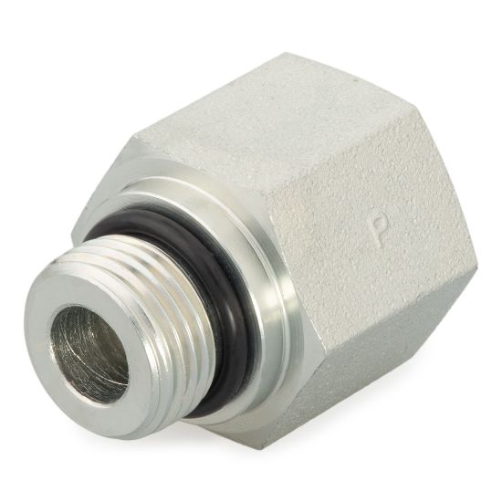 Picture of Pipe Fittings and Port Adapters - 8-1/4 F5OG-SS