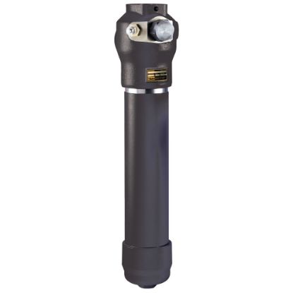 Picture of High Pressure Inline Filter 100P Series - 100P202QBE2MF241