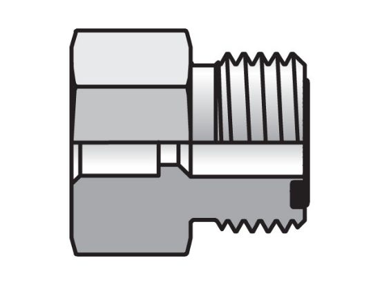 Picture of Seal-Lok ORFS Straight LOHB3 - 20-24 LOHB3-S FKM