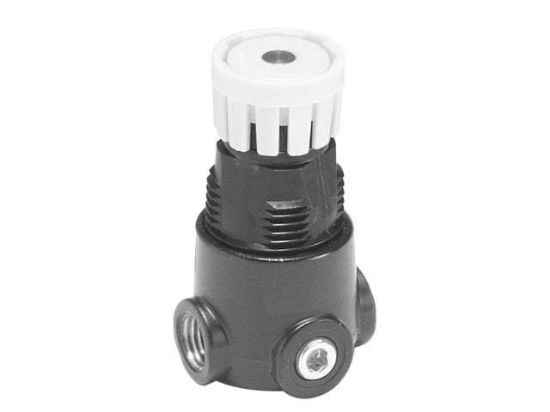 Picture of 14R Mini General Industrial Regulator - 14R113F
