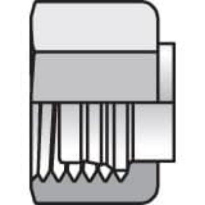 Picture of Intrulok® Brass Flareless Bite Type Fittings - 2 BTI2-B