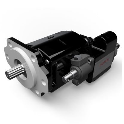 Picture of Cast Iron Pumps – G101/G102 Series - 3089310047