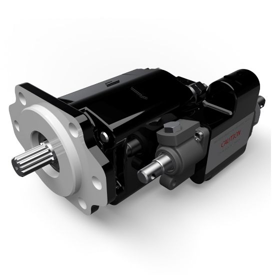 Picture of Cast Iron Pumps – G101/G102 Series - 3089310416