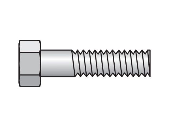 Picture of Inch Standard Series BCP Hex Head Bolt for Cover Plate - BCP-1-SS