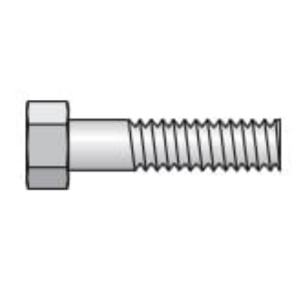 Picture of Inch Tube and Hose Clamps - BCPT-1