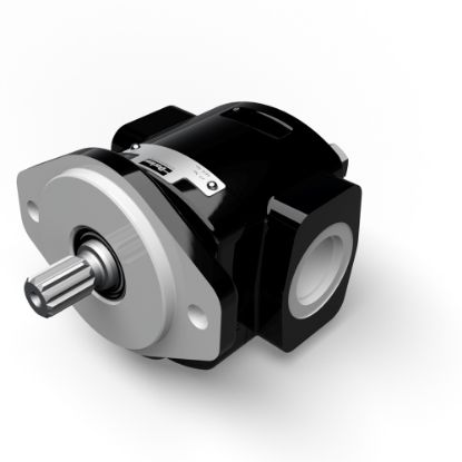 Picture of Cast Iron Pumps – PGP610 Series - Cast Iron Pumps – PGP610 Series