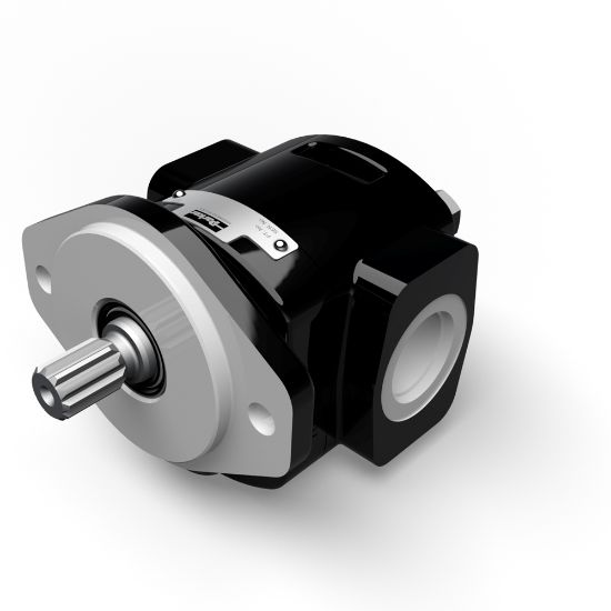 Picture of Cast Iron Pumps – PGP610 Series - Cast Iron Pumps – PGP610 Series