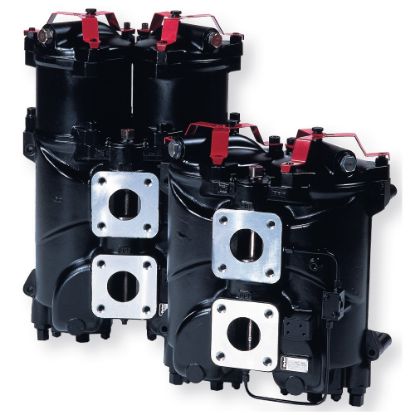 Picture of Low Pressure In-Line Duplex Filter - DF2035 Series - DF20352015NVM3HD651