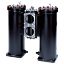 Picture of Low Pressure In-Line Duplex Filter - DF2070 Series - DF2070310QVM3HX1601