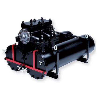 Picture of Low Pressure In-Line Duplex Filter - DFH2060 Series - DFH20603015NVM3HX1601