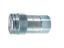 Picture of FEM Series Coupler - Female SAE - FEM-501-8FO-NL