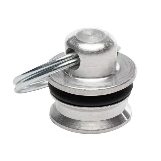 Picture of Protective Dust Caps and Plugs for Quick Couplings - H4-65