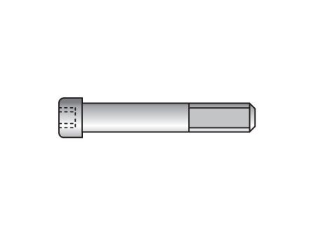 Picture for category Metric Heavy Series ISC Cap Screws