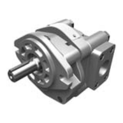 Picture of Iron and Aluminum Pumps - P16 Series - P16 SERIES PUMPS