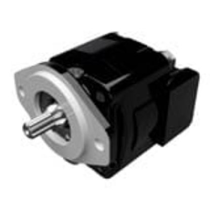 Picture of Cast Iron Motors – PGM315 Series - PGM315