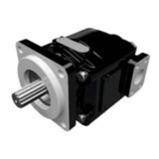 Picture of Cast Iron Motors – PGM365 Series - PGM365