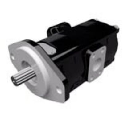 Picture of Cast Iron Pumps – PGP315 Series - PGP315