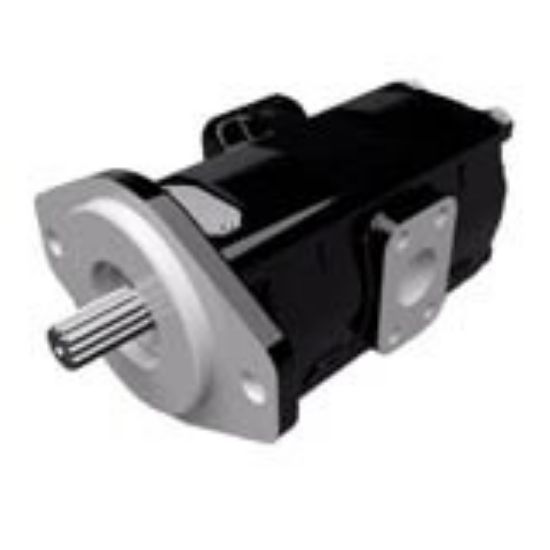 Picture of Cast Iron Pumps – PGP315 Series - PGP315