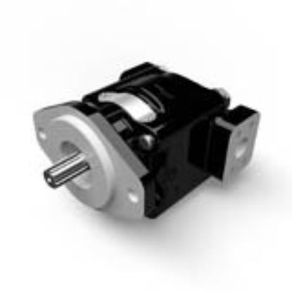 Picture of Cast Iron Pumps – PGP330 Series - PGP330