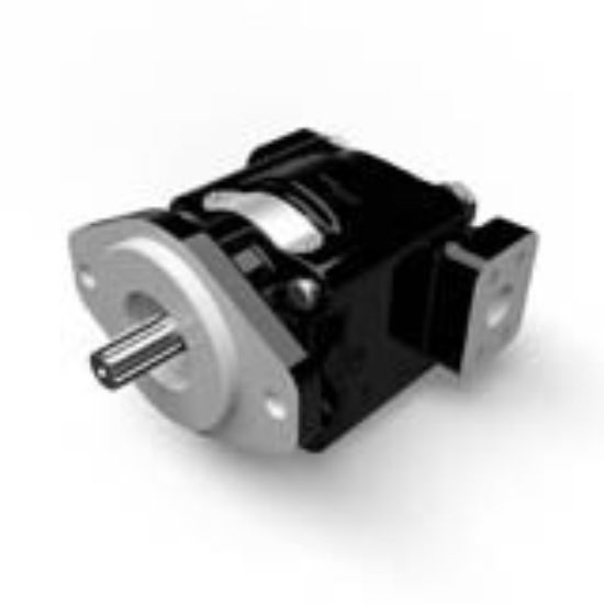 Picture of Cast Iron Pumps – PGP330 Series - PGP330