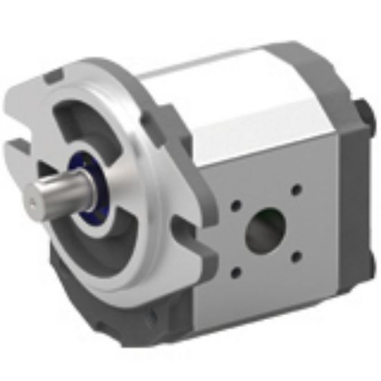 Picture of Aluminum Pumps – PGP517H Series - PGP517H SERIES