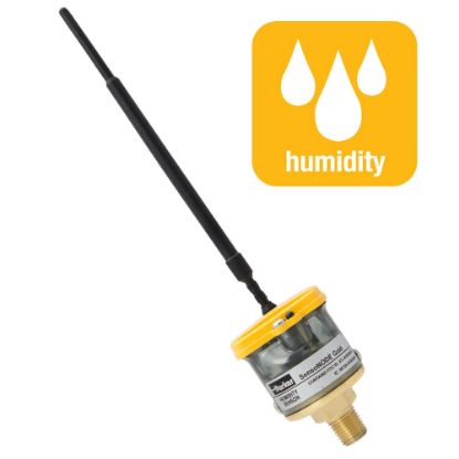 Picture of Wireless SensoNODE™ Gold Sensors with Voice of the Machine™ Cloud Software - Continuous Condition Monitoring - SNHT2-10-2-4MP