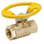 Picture of Industrial Brass Ball Valves - V500P-12-21