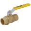 Picture of Industrial Brass Ball Valves - V509P-8