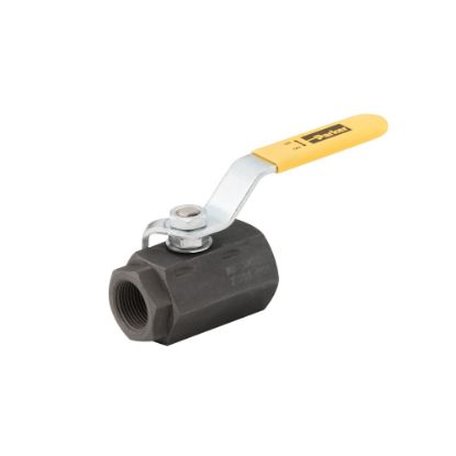 Picture of Low Pressure Ball Valves - V500 Series - VP502SS1201