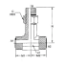 Picture of FS6803-L-12-12-12-NWO-FG