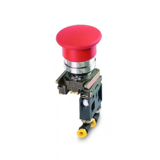 Picture of PXBB3922