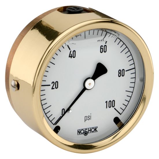 Picture of 25-310-5000-psi - 300 Series Brass Case Liquid Filled Pressure Gauges